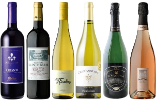 南アフリカ品種別飲み比べ
６本セット
【Kセット】