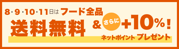 プレミアムオンラインデー