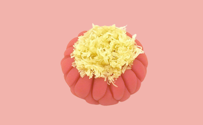 季節の上生菓子特集