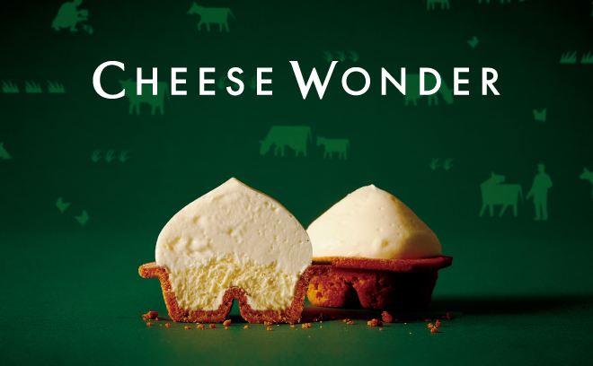 北海道発のお取り寄せ
生チーズケーキが入荷！