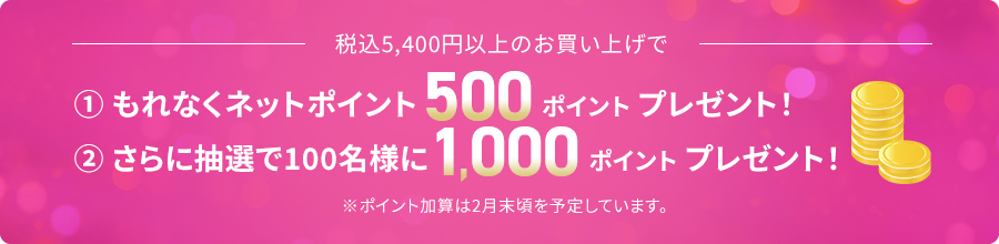 ネットポイント　プレゼント