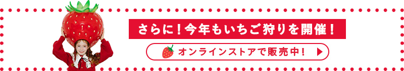さらに！今年もいちご狩りを開催！ オンラインストアで販売中！