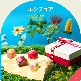 エクチュア