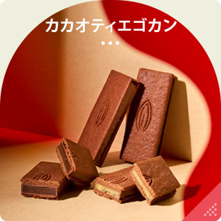 カカオティエゴカン