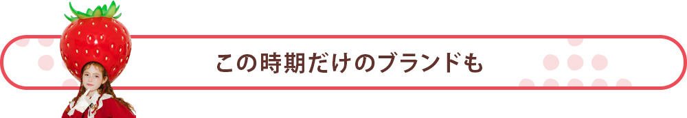 この時期だけのブランドも
