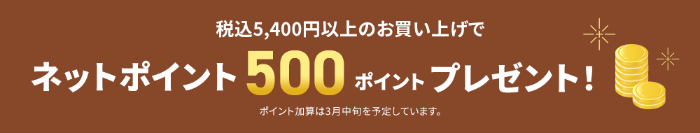 ネットポイント　プレゼント