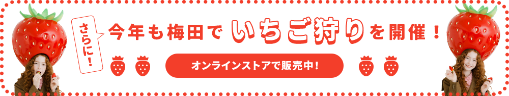 今年も梅田でいちご狩りを開催！