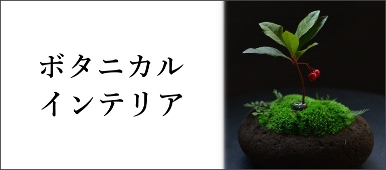 ボタニカルインテリア