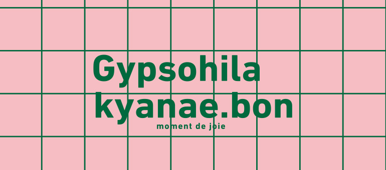 ジプソフィア×キャナエボン