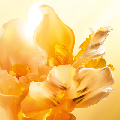 ジャドール オードゥ パルファン ローラー パール(B1930140)｜コスメ