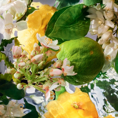 アクア アレゴリア ボディローション ベルガモット(B1950032)｜コスメ