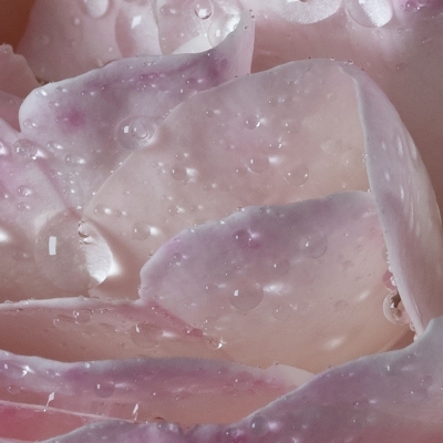 ロー ア ラ ローズ オードトワレ(B19O0095)｜コスメ・デパコス｜阪急