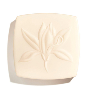 LE SAVON DE SOIN　サブリマージュ サヴォン ネトワイヤン 