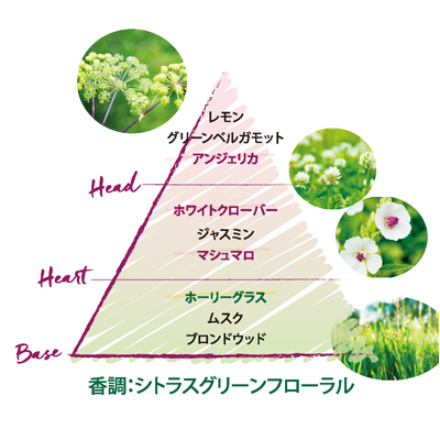 エルバブランシュ オードトワレ 10ml B158 コスメ 阪急百貨店公式通販 Hankyu Beauty Online エルバブランシュ オードトワレ 10ml B158 コスメ 阪急百貨店公式通販 Hankyu Beauty Online