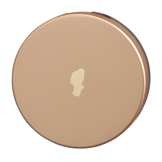 エクセレント デイクッション ファンデーションケース