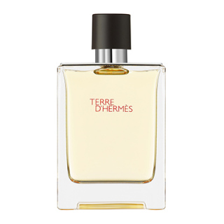 テール ドゥ エルメス オードトワレ 《テール ドゥ エルメス》 - 100 ml | Hermès