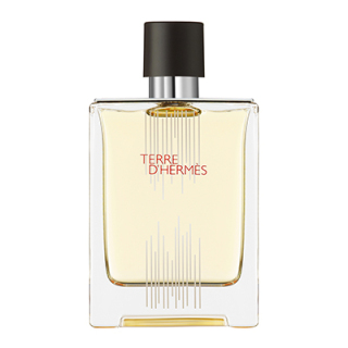 テール ドゥ エルメス EDT 2021リミテッド 100ml