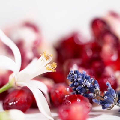 リブレ ヘアミスト(B2180129)｜コスメ・デパコス｜阪急百貨店公式