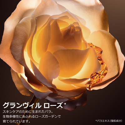 プレステージラクレームリッシュN プレステージ ラ クレーム リッシュ N DIOR】 プレステージ ラ クレーム リッシュ N - スキンケア