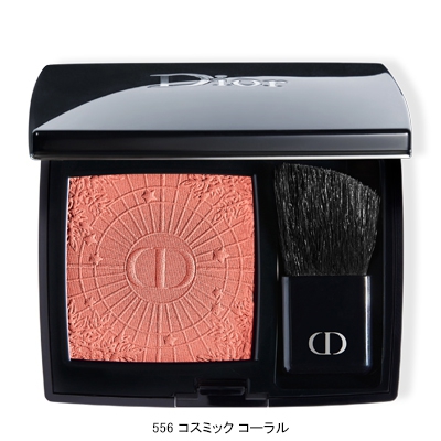 世界的に有名な DIOR ディオール ディオールスキン ルージュ