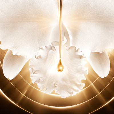 オーキデアンペリアルゴールドノビレクリーム オーキデ アンペリアル ゴールドノビレ ザ クリーム(B2410077