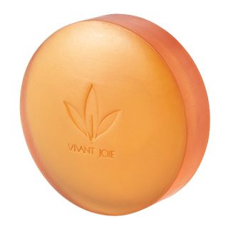 ビーバンジョア(VIVANTJOIE)｜コスメ・デパコス｜阪急百貨店公式化粧品