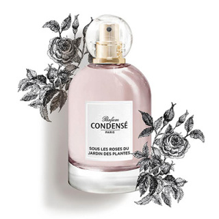 フレグランス｜コンダンセ パリ(CONDENSE PARIS)｜コスメ・デパコス