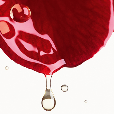 N°1 DE CHANEL - RED CAMELLIA CREAM - RENO スムース クリーム N°1