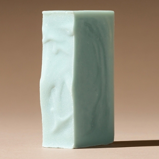 PET ドッグ(短毛)