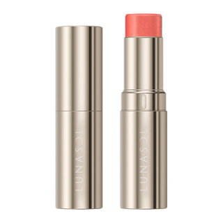 ブラッシュスティック