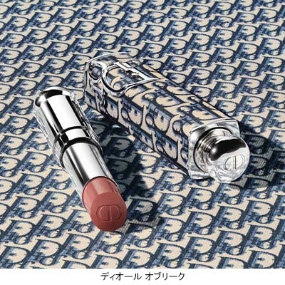 ディオール アディクト クチュール リップスティック ケース(B2530381