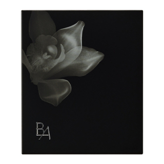 B.A オアシスライト パウダー ケース(別売りケース)