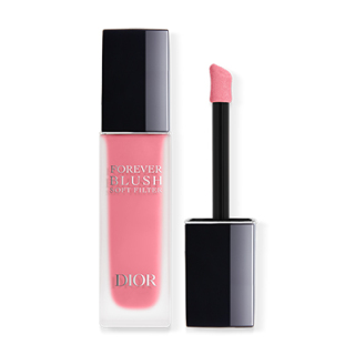 ディオールスキン フォーエヴァー ブラッシュ ソフト フィルター