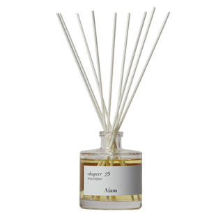 ディフューザー チャプター29