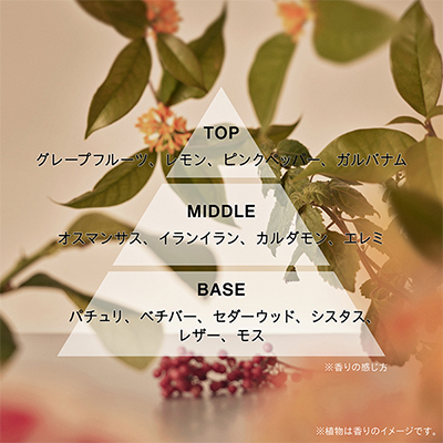 オードパルファン TWILIGHT HUES(B2590167)｜コスメ・デパコス｜阪急