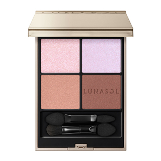 アイカラーレーションＮ(EX15)