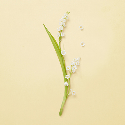 グッチ ティアーズ フロム ザ ムーン オードパルファム(B25O0182