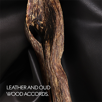 グッチ ザ ボイス オブ ザ スネーク オードパルファム(B25O0401