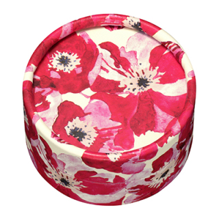 アイカラー リミテッド Ｅ