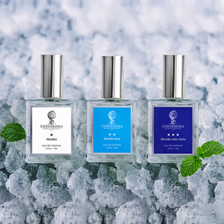 ディスカバリーセット(ミント)