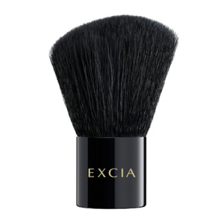 エクシア　ブラッシュ R