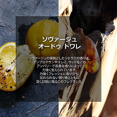 ソヴァージュ 1 コスメ 阪急百貨店公式通販 Hankyu Beauty Online