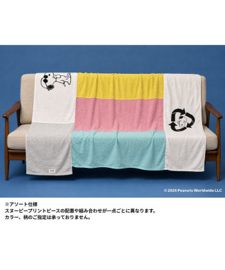[12月中旬頃お届け予定]タオルケット