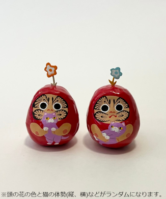 すみれ猫抱っこ