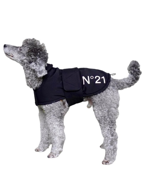 N゜21 N21 FUTON COAT FOR DOGS Black M N゜21 N21 FUTON COAT FOR DOGS Black M