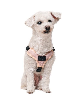 N21 HARNESS＋LEASH