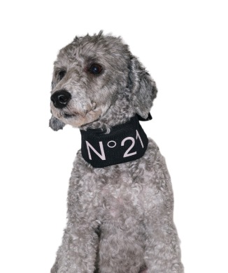 N21 COOL NECK BAND