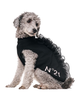 N21 FRILL TANK