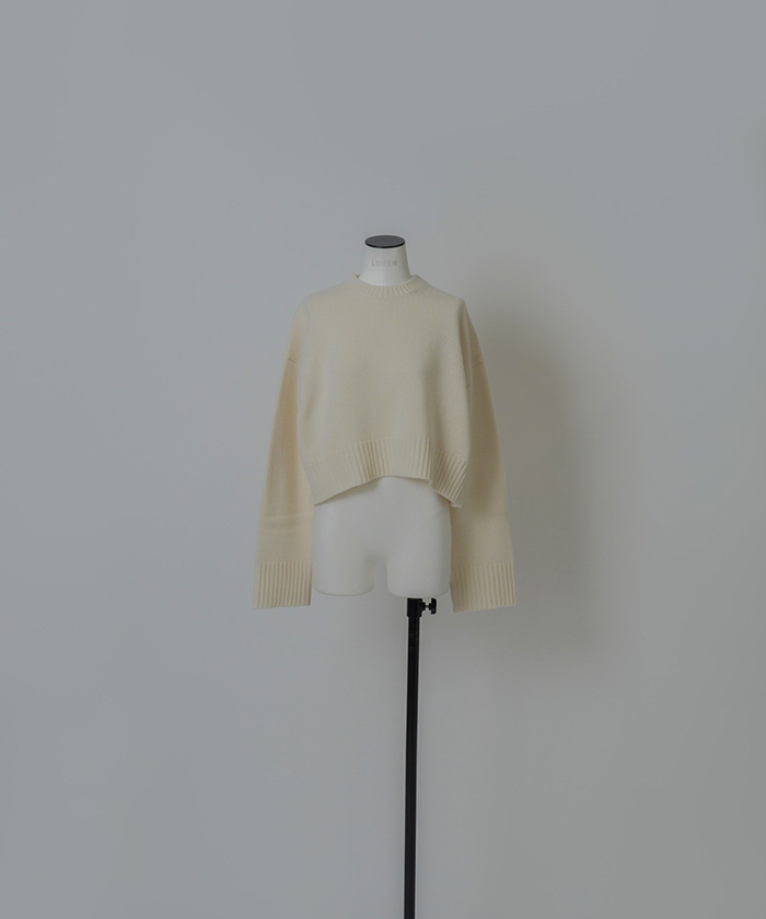 ウールカシミヤクルーネッククロップドニット(F25NB038)｜阪急百貨店