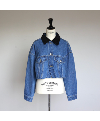 Cropped Denim Jacket